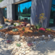 Morgan Hill commercial landscape renovation