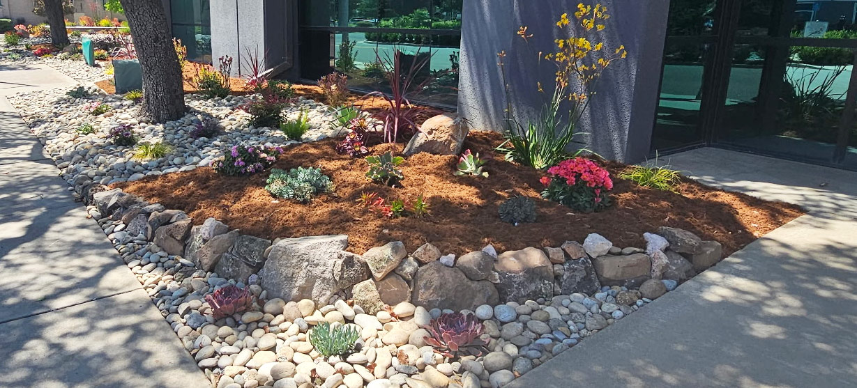 Morgan Hill commercial landscape renovation Morgan Hill commercial landscape renovation